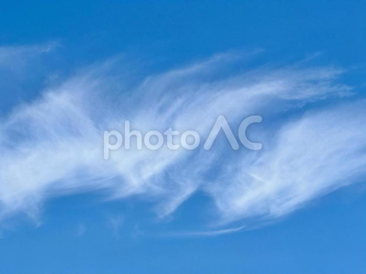 刷毛で書いたような夏の雲 背景,風景,壁紙の写真素材