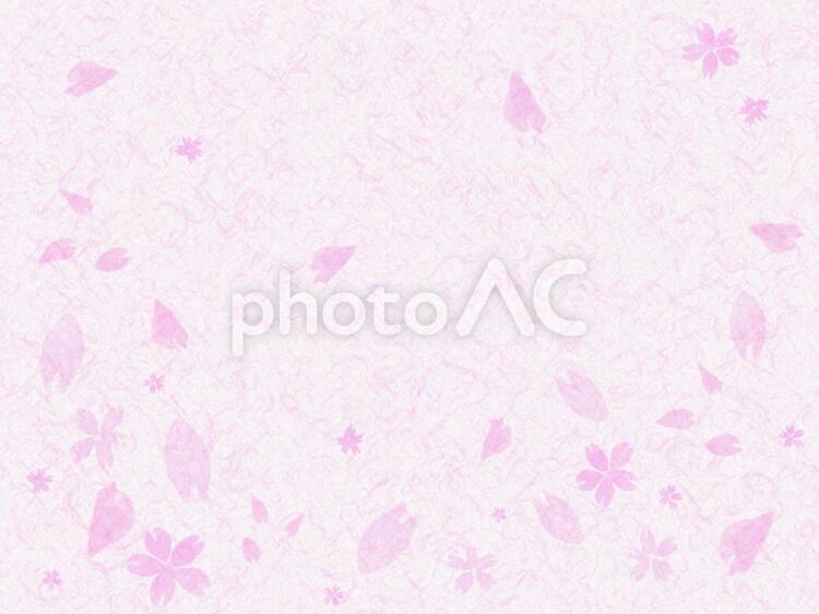 和紙の桜イメージ 和紙,桜,3月の写真素材