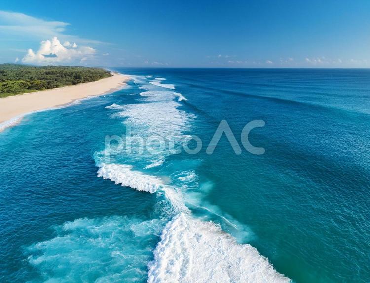 夏のエメラルドグリーンの海と砂浜と森林 海,エメラルドグリーン,夏の写真素材
