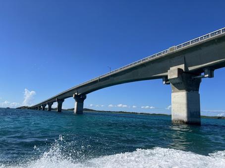 Photo, snorkeling, diving, bridge, 