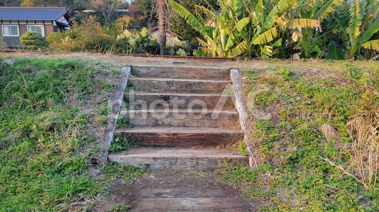 廃線跡　階段 階段,入口,雑草の写真素材