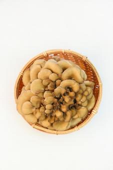 舞茸 舞茸 舞茸,キノコ,食材の写真素材