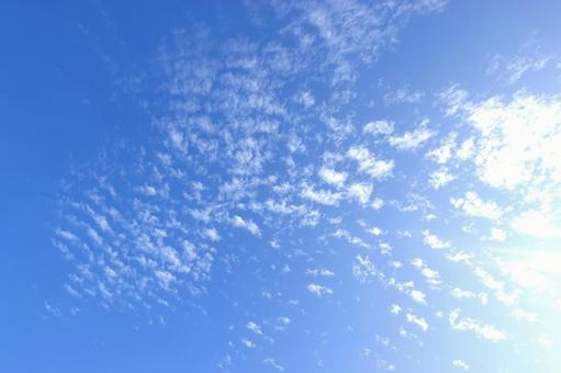 うろこ雲の写真