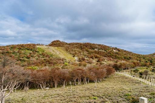 三重　御在所岳　山頂 御在所岳,山,御在所山の写真素材