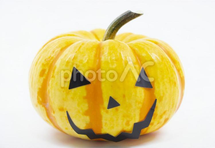 ハロウィン　プッチィーニかぼちゃ ハロウィン,プッチィーニ,かぼちゃの写真素材