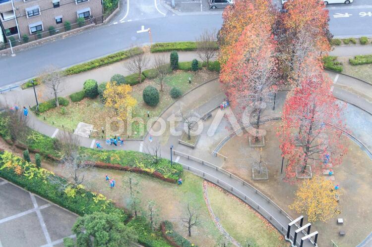 公園　保育園のお散歩　 保育園,散歩,園児の写真素材