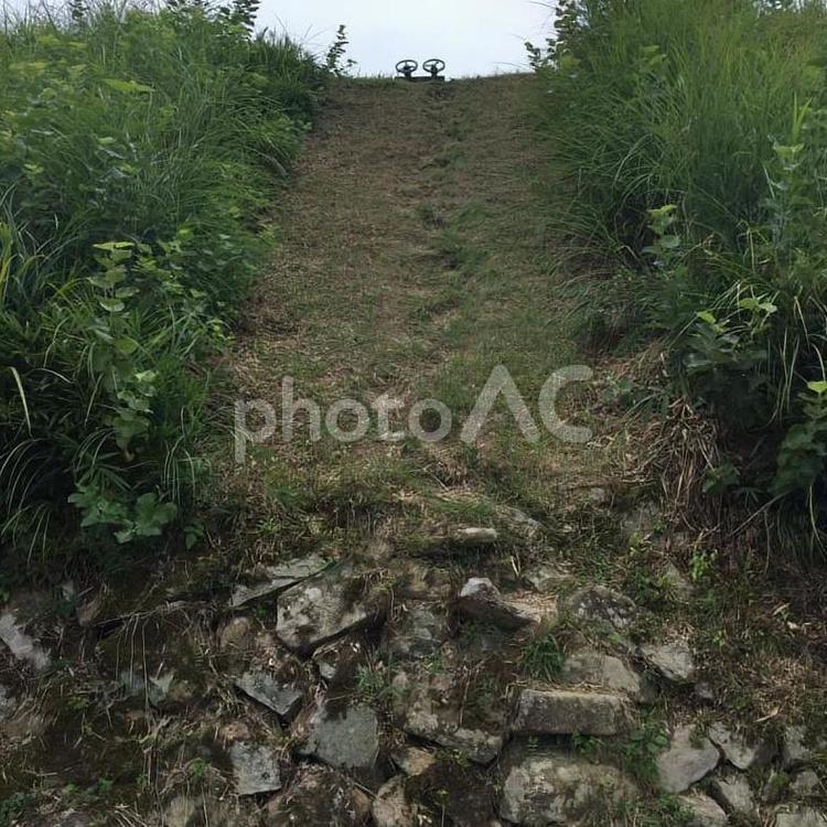 貯水池を見上げる 貯水池,池,石垣の写真素材