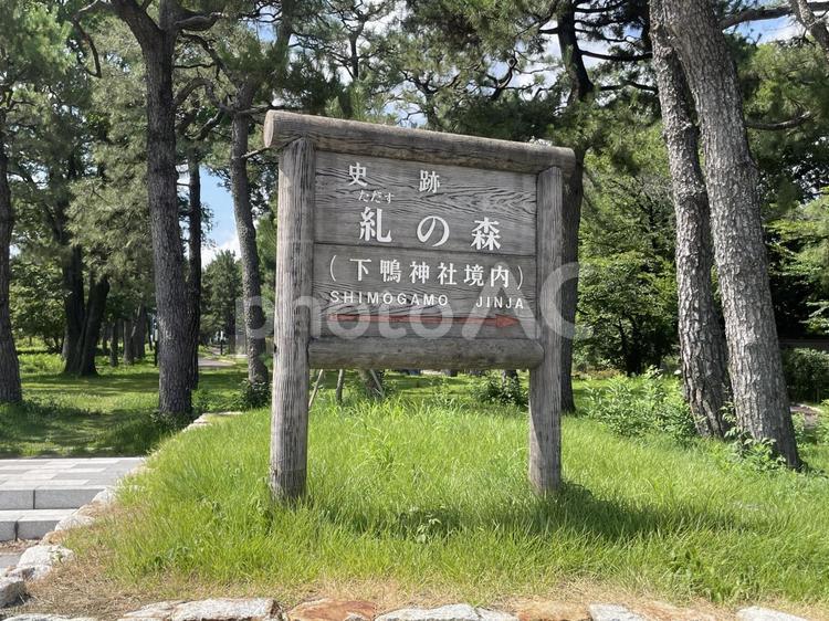 糺の森　下鴨神社 糺の森,下鴨神社,看板の写真素材