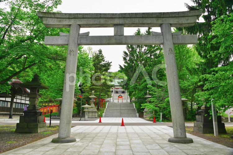 神社の境内 鳥居,パワースポット,住吉神社神輿殿の写真素材