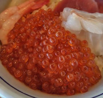 いくら いくら,イクラ,海鮮丼の写真素材