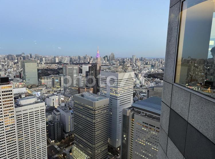 東京都庁から東京の街並みを見下ろす 銀座,新橋,千代田の写真素材