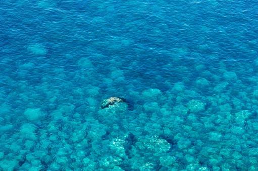 神秘的で鮮やかな積丹ブルー 積丹ブルー,神威岬,海の写真素材