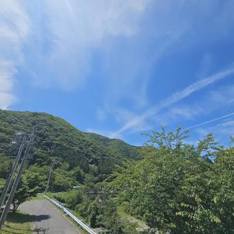 川辺の道路 川辺の道路 道路,木,道の写真素材