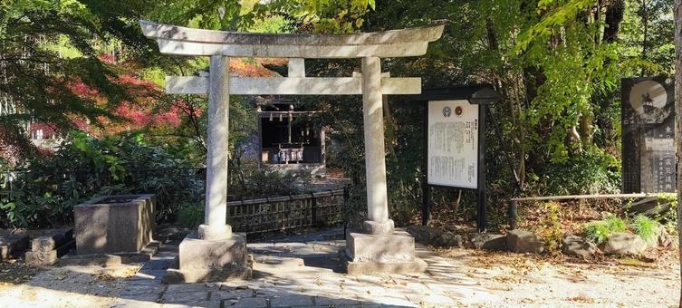 青葉神社・祖霊社（仙台市） 青葉神社,仙台市,伊達政宗の写真素材