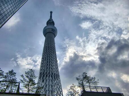 曇り日の東京スカイツリー-194 東京スカイツリー,曇り日,雲の写真素材