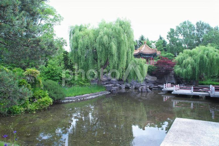 中国の庭園 瀋芳園,風雅,お庭の写真素材