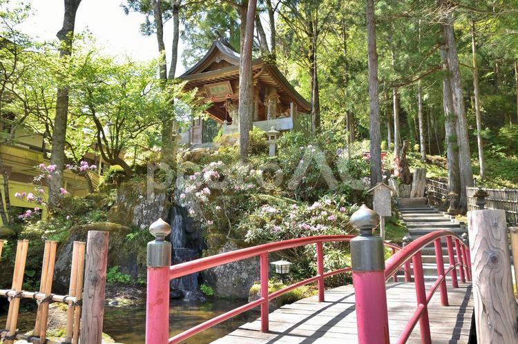 宮城県　定規如来　西方寺　天皇塚　１ 天皇塚,西方寺,定義山の写真素材