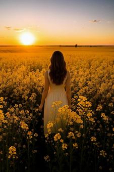 夕日の菜の花畑と女性 夕日の菜の花畑と女性の写真