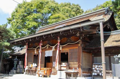 長浜八幡宮 長浜八幡宮 長浜八幡宮,長濱八幡宮,神社の写真素材