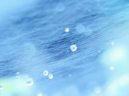 背景に合う明るいイメージの蜘蛛の巣と雨粒 背景に合う明るいイメージの蜘蛛の巣と雨粒の写真