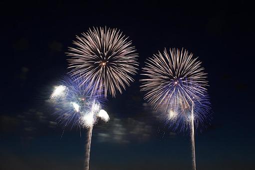 25年長岡まつり 花火 25年長岡まつり 花火の写真