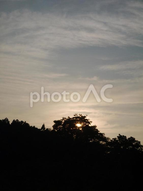 木の奥の夕日2 夕日,大きな木,空の写真素材