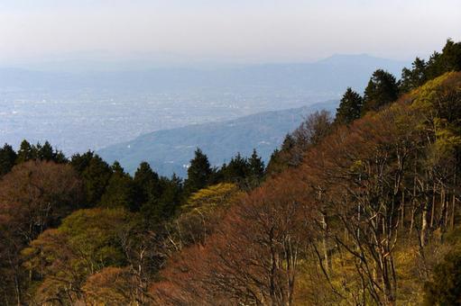 山頂からの紅葉 眺望,山頂からの景色,紅葉の写真素材