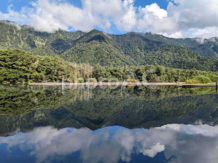 夏の上高地（大正池５） 大正池,上高地,立ち枯れの木の写真素材