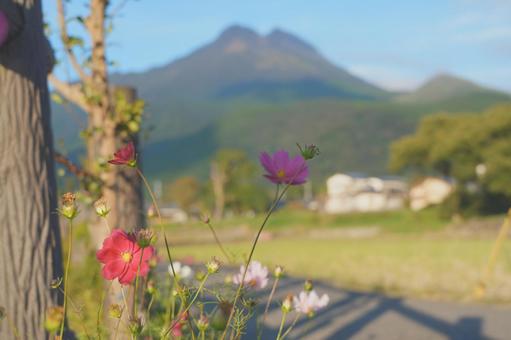 Photo, natural, mountain, many mountains of, 
