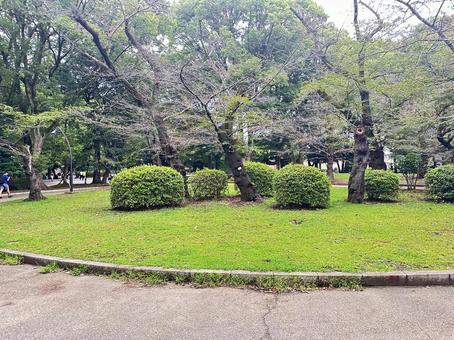 上野公園 東京都台東上野 上野公園 東京都台東上野 公園,公共,上野公園の写真素材