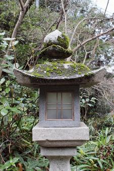 灯籠 苔 灯籠 苔 灯籠,参拝,社寺の写真素材