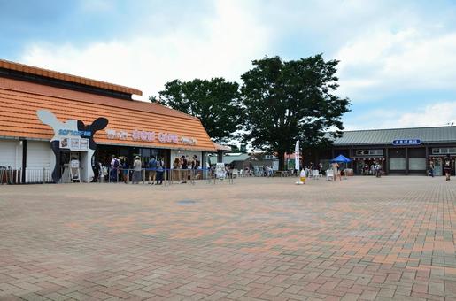 マザー牧場 まきばカフェ 千葉県 マザー牧場 まきばカフェ 千葉県の写真