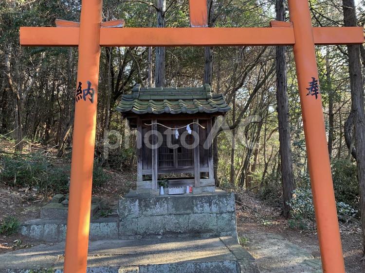 香川県坂出市府中町の『神掛神社』 神掛神社,鳥居,祠の写真素材