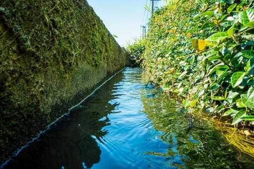 夏の田んぼの用水路 夏の田んぼの用水路 田んぼ,川,小川の写真素材