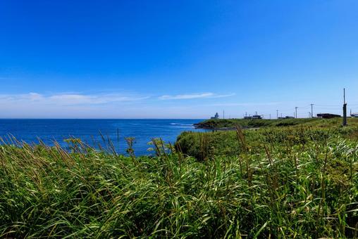 納沙布岬 納沙布岬 納沙布岬,根室,夏の写真素材