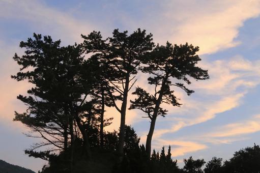 黄金崎公園からの夕景 黄金崎公園からの夕景の写真