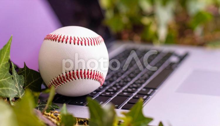 プロ野球のイメージ　パソコン　野球ボール 野球ボール,オンライン,オンデマンドの写真素材