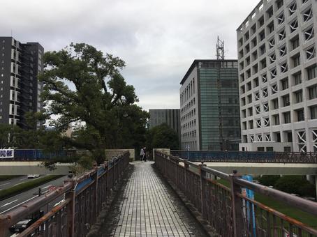 富士市役所付近の写真