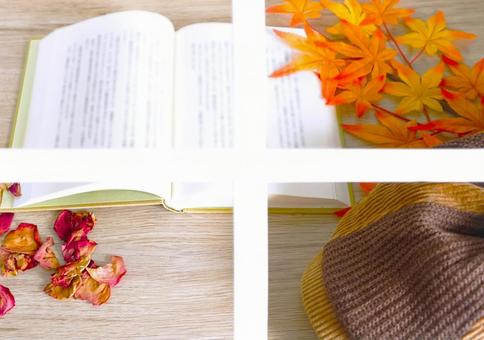 秋の十字窓 秋の十字窓 本,紅葉,窓の写真素材