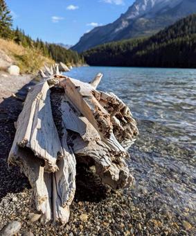 観光や旅行のイメージ　バンフ国立公園 旅行,観光,イメージの写真素材