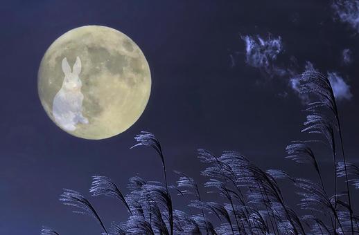 秋イメージ素材/十五夜・月うさぎ 秋イメージ素材/十五夜・月うさぎ 月,月夜,十五夜の写真素材