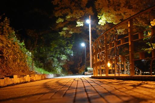 夜の風景 夜の風景の写真