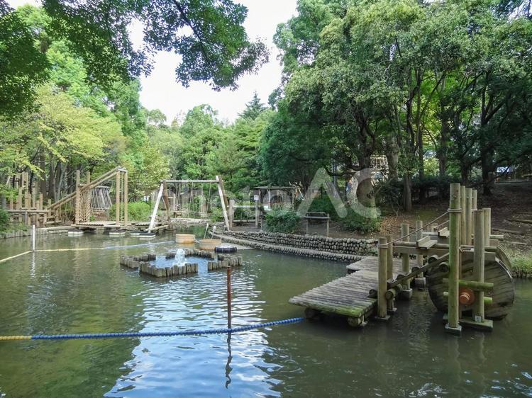 大田区立平和の森公園の池 平和の森公園,大田区,公園の写真素材