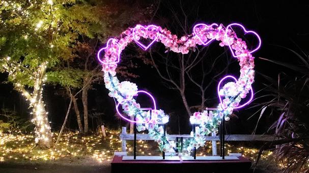 虹の郷　イルミネーション イルミネーション,クリスマス,夜景の写真素材