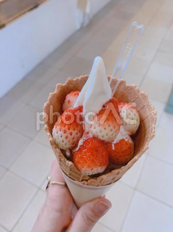 いちごアイス おいしい,クリーム,フードの写真素材
