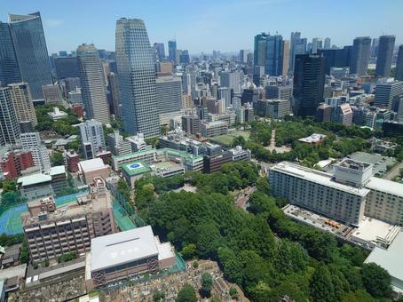 東京タワーから見た景色 東京タワーから見た景色 街並み,東京,自然の写真素材