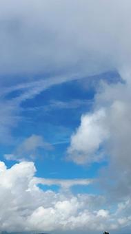 Photo, natural, sunny, sunny day, 