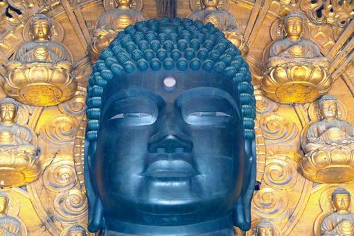 東大寺　奈良の大仏様の顔 東大寺,大仏,奈良の大仏の写真素材