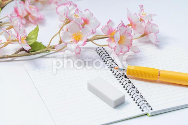 桜のある開いたリングノートとペン ペン,リングノート,ボールペンの写真素材