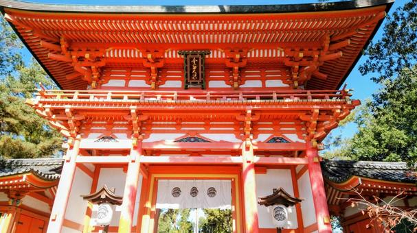 京都 今宮神社 楼門 京都 今宮神社 楼門 京都,今宮神社,参拝の写真素材